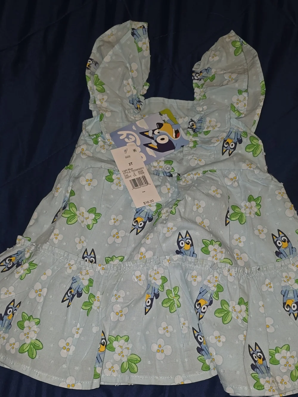 2T Bluey Dress